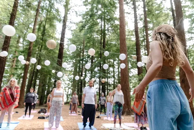 Redwoods event space